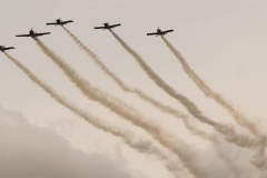 1_FestivalDavion2019-f19437e
