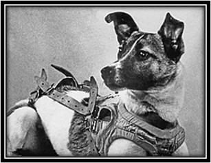 On This Day in Aviation History - Dogs in Space