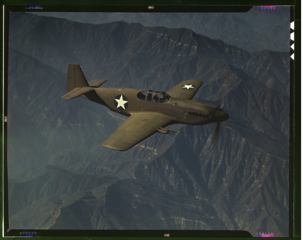 Mustang1